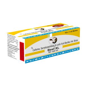 Best-XL Bolus