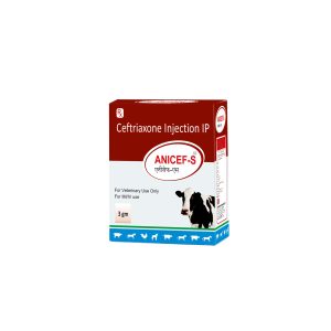 Anicef-S Injection