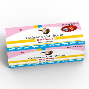 Best Bolus