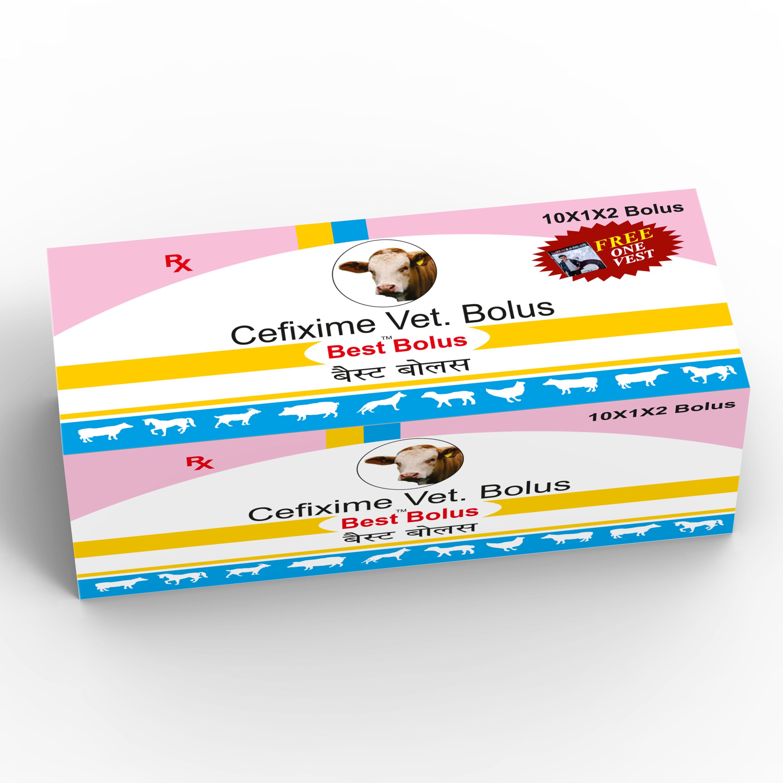 Best Bolus