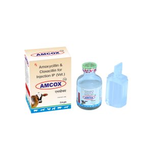 Amcox Injection