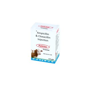 Pailclox Injection