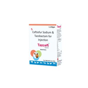 Tazceft Injection