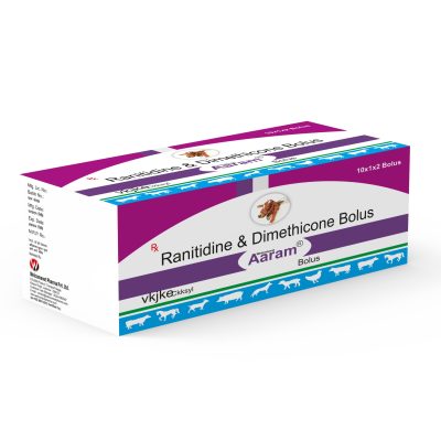 AARAM Bolus - Image 3