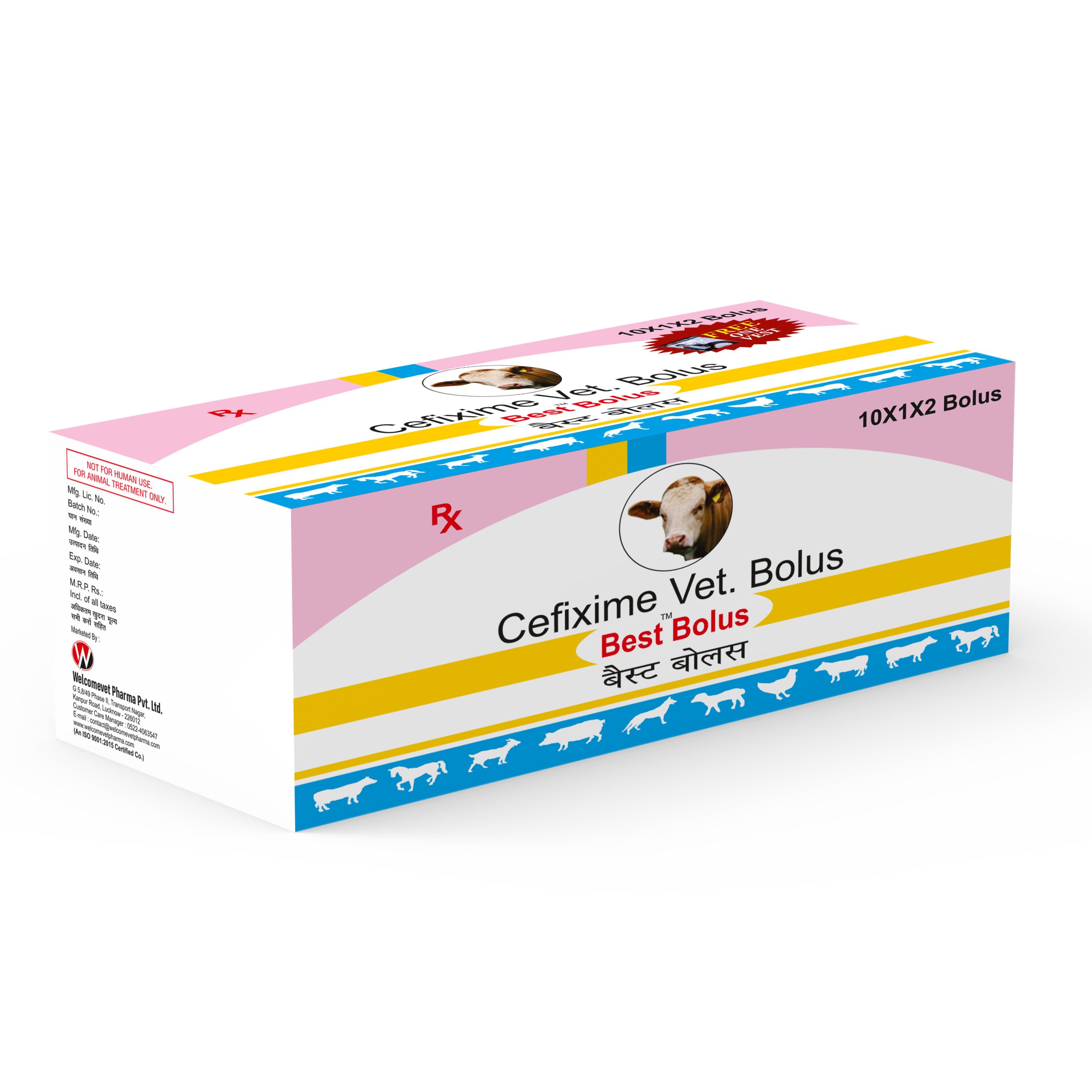 Best Bolus - Image 3