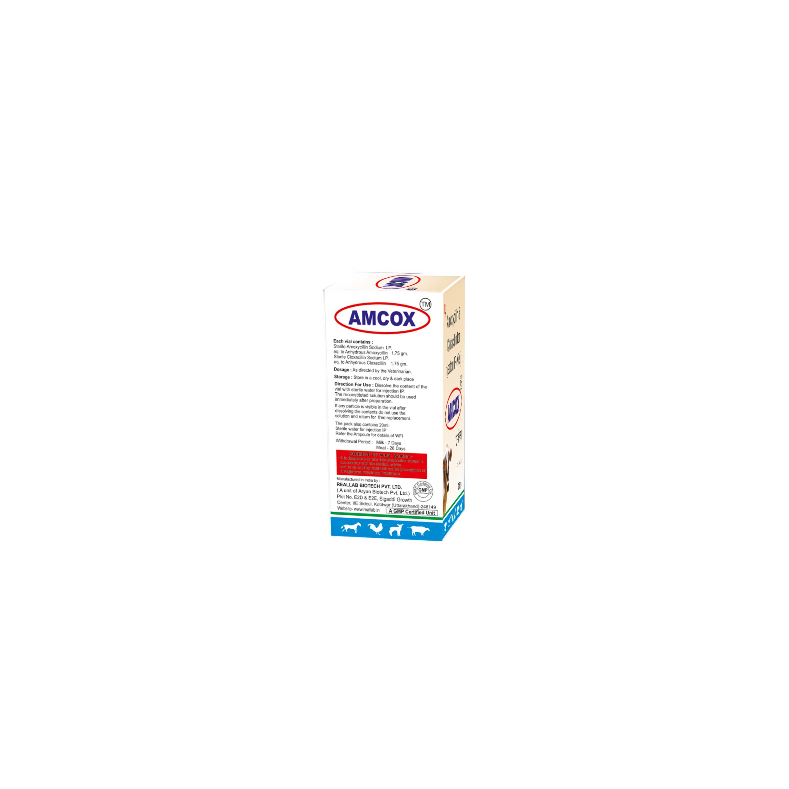 Amcox Injection - Image 3