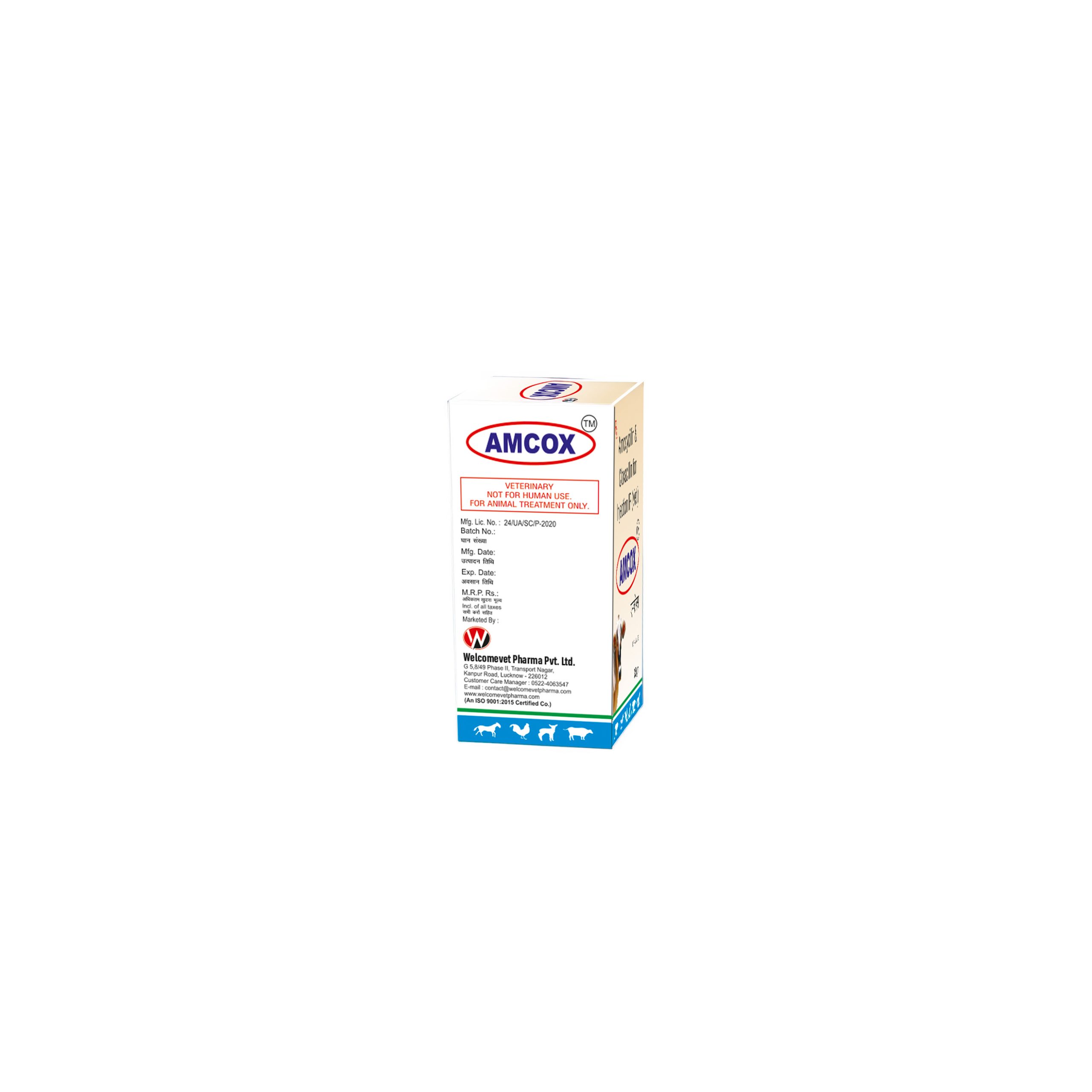 Amcox Injection - Image 4