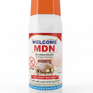 MDN